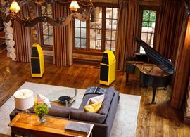 Sasha DAW - yellow with black piano.jpg