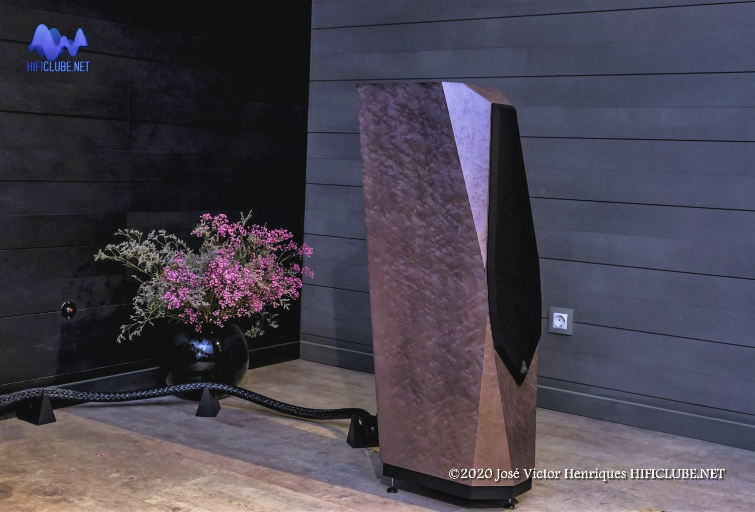 Avalon PM1 left side (2).jpg