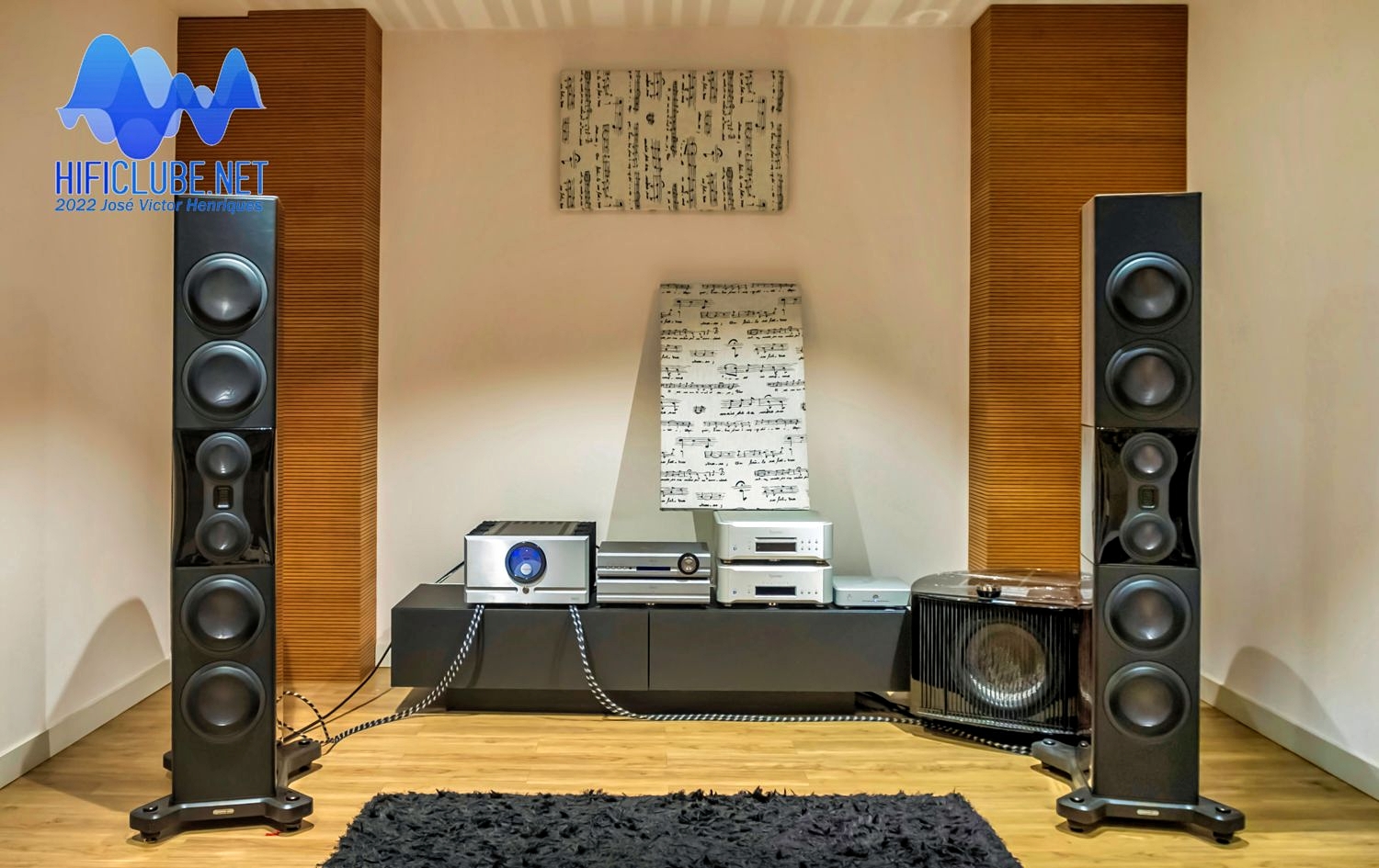 Delaudio _ Delfin's system full front.jpg