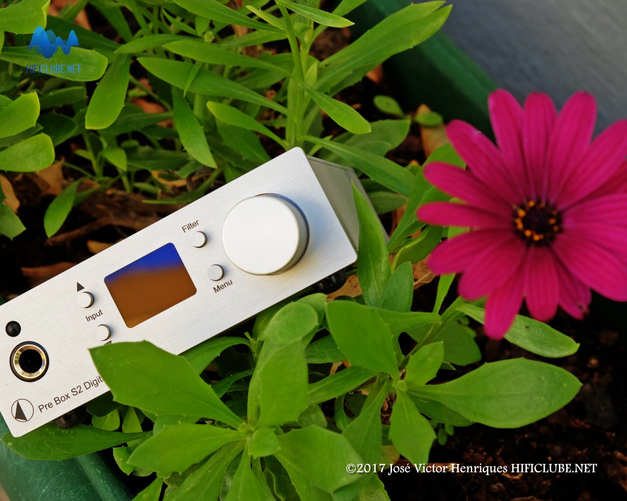 ProJect S2- flower pot square.jpg